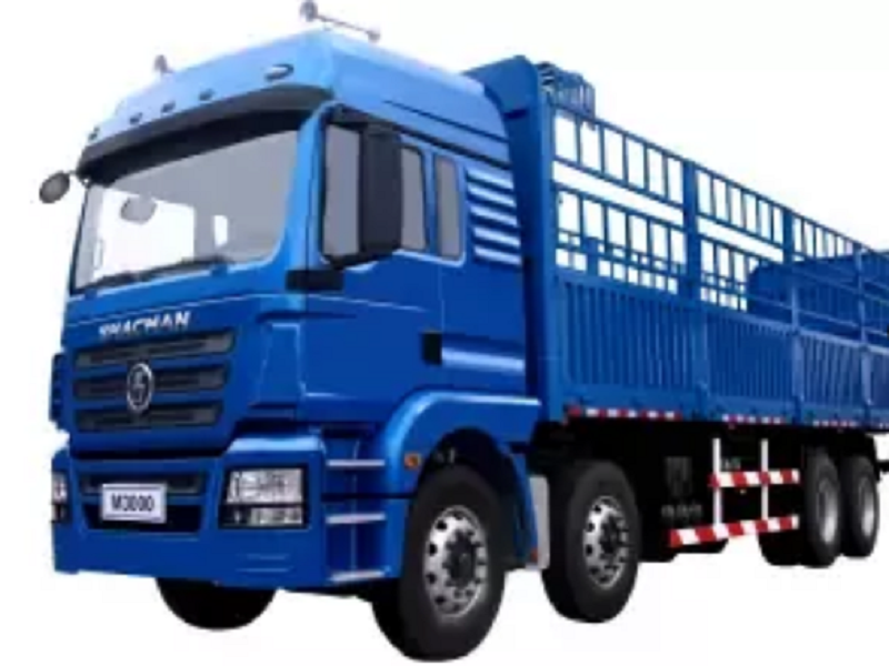 Xe tải xe tải Shacman H3000 8x4